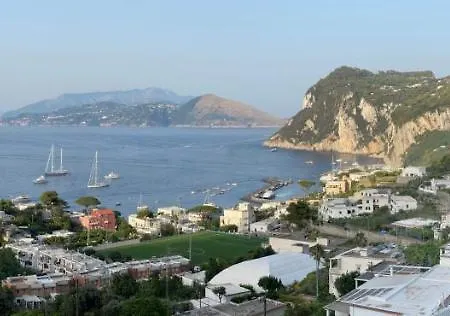 Phoenician Capri *