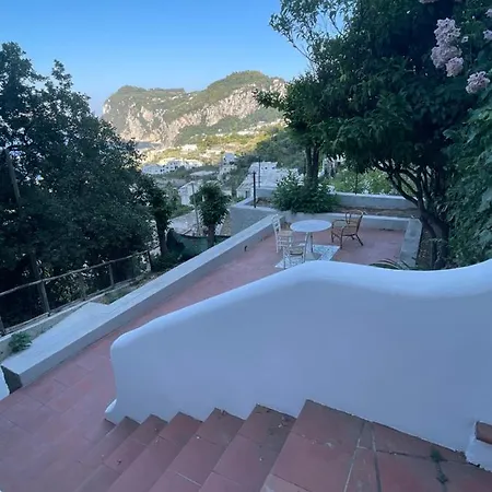 Phoenician Capri *